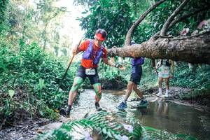 BIB: 
                            <button type="button" onclick="openModal(25439266)" class="btn btn-primary btn-sm float-right btn-popup" data-toggle="modal" data-target=".modal-high-quality">
                        <i class="fas fa-shopping-cart"></i> Add to Cart
                    </button>
                                            <button type="button" onclick="isThisMe(25439266, true)" class="btn btn-success btn-sm float-right btn-popup btn-isme hidden" data-toggle="tooltip" data-placement="bottom" title="นี่คือรูปของคุณใช่ไหม คลิกที่นี่เพื่อเอาเข้าอัลบั้ม">
                        <i class="fas fa-plus"></i> Add to album
                    </button>
                    <button type="button" onclick="isThisMe(25439266, false)" class="btn btn-warning btn-sm float-right btn-popup btn-isnotme hidden">
                        <i class="fas fa-ban"></i> Remove from album
                    </button>